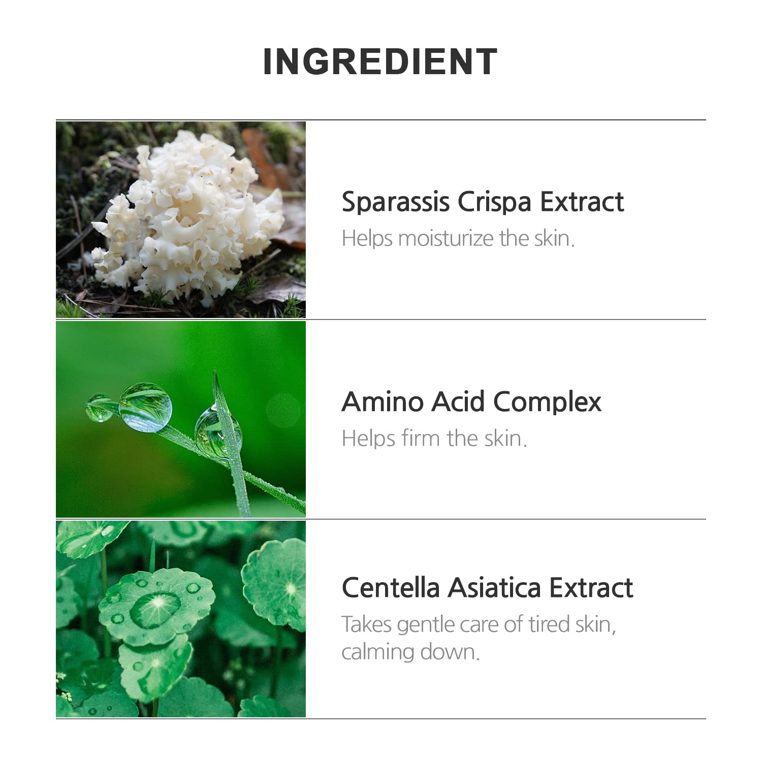 Amazon.com: Riman Incellderm Dermatology First Package EX – 130ml